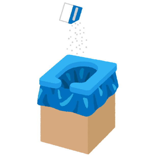 Best Affordable portable toilet rental  in Escatawpa, MS